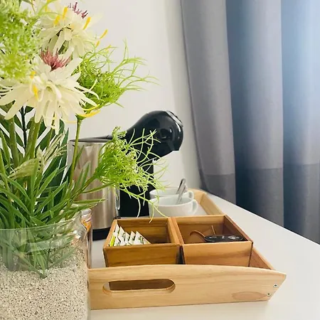 Alisol Boutique San Pedro ゲストハウス マルベーリャ